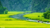 Vietnam Highlight Tour 15 days