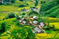 Sapa Treckking Village 2 days Group Tour by Limousine Car